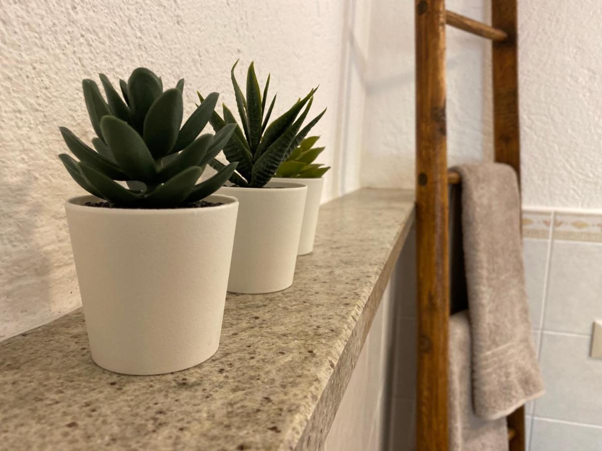 Grenier Du Coeur Apartment Aosta Ngoại thất bức ảnh